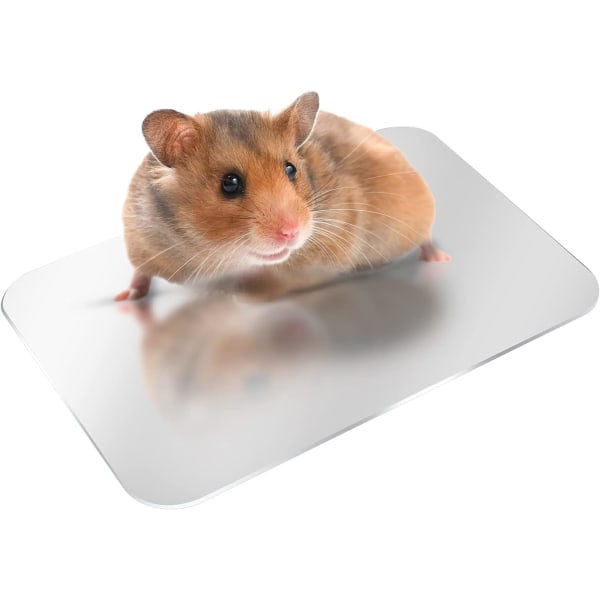 Summer Cool Plate Kjølepute Hamstermatte Isseng for små kjæledyr hamster marsvin kattunge 12 * 8 cm