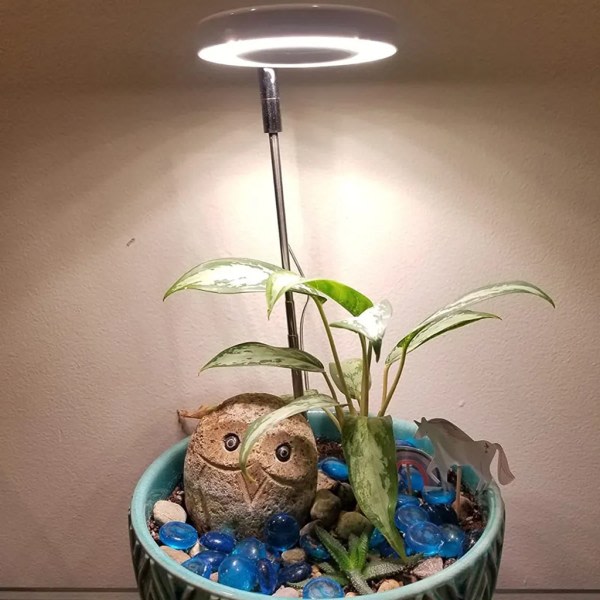 LED fuldt spektrum plantelampe 3 lystilstande plantelys voksende lys med timer til indendørs planter, grøntsager, blomster