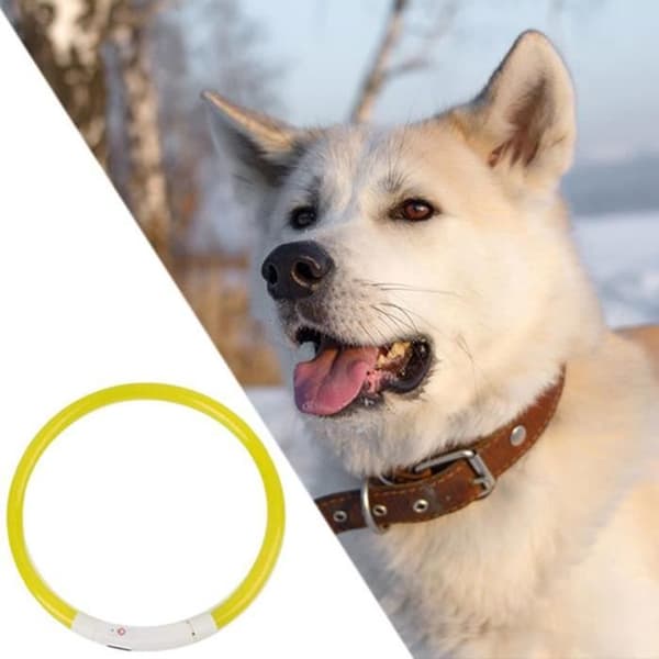 LED blinkende lysende hundehalsbånd, lysende halsring, sikkerhet, USB oppladbart, lyst, vanntett halsbånd, gul