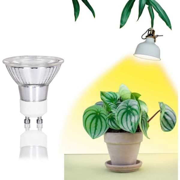 8-pack GU10 Halogenlampor 35W, 220V GU10 Halogenspotlight 2800K Varmvit 8 35W 35W