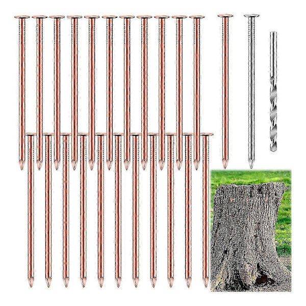 25 stk. kobbersøm til trædræbning, 8,9 cm rene kobbersøm bulk, stubfjernelsessøm hardware