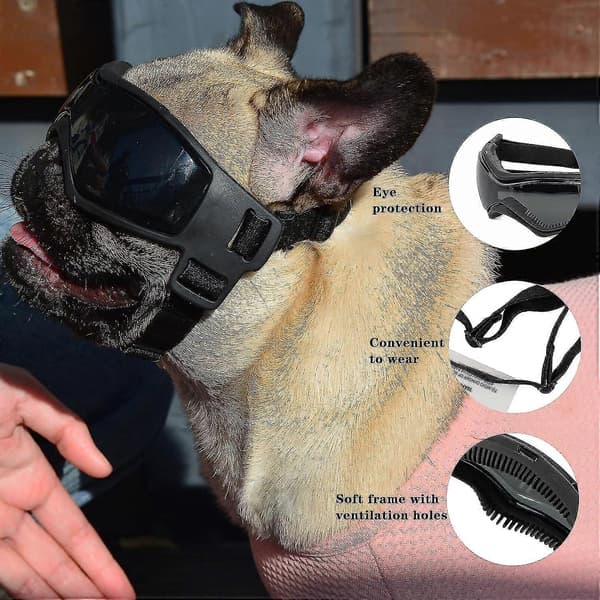 Hundebriller for små hunderaser, lett å bruke UV-solbriller for små/mellomstore valper Black