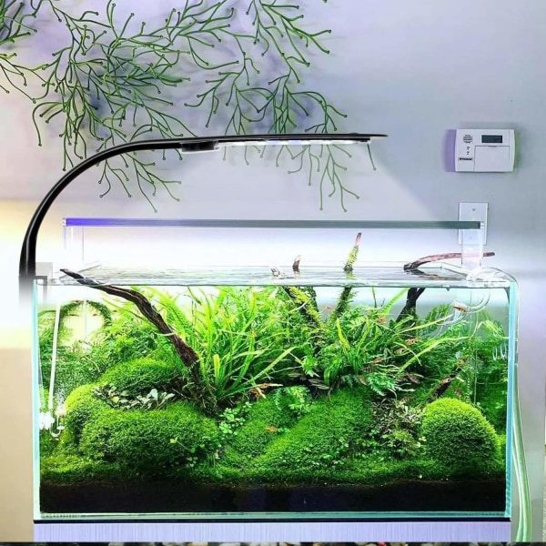 LED-akvarielampe med hvidt, e og blåt lys, 2,5A, sort