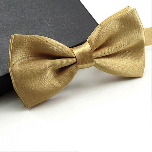 Sinknap Fluga Solid Färg Lätt Att Använda Polyester Justerbar Fluga Förknutna för Formella Tillfällen Gold