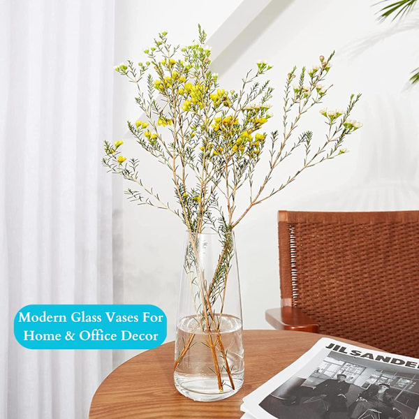Premium Kvalitet Elegant Klar Stor Høj Blomster Vase 22 cm - Hjemme Dekoration, Værelse Landhus, Midtpunkt, Patenteret Design