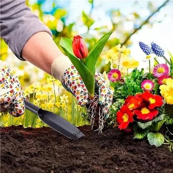 Trädgårdsspade Handspade för plantering, ogräsrensning, flyttning, utjämning, grävning och plantering (32 cm x 5 cm)