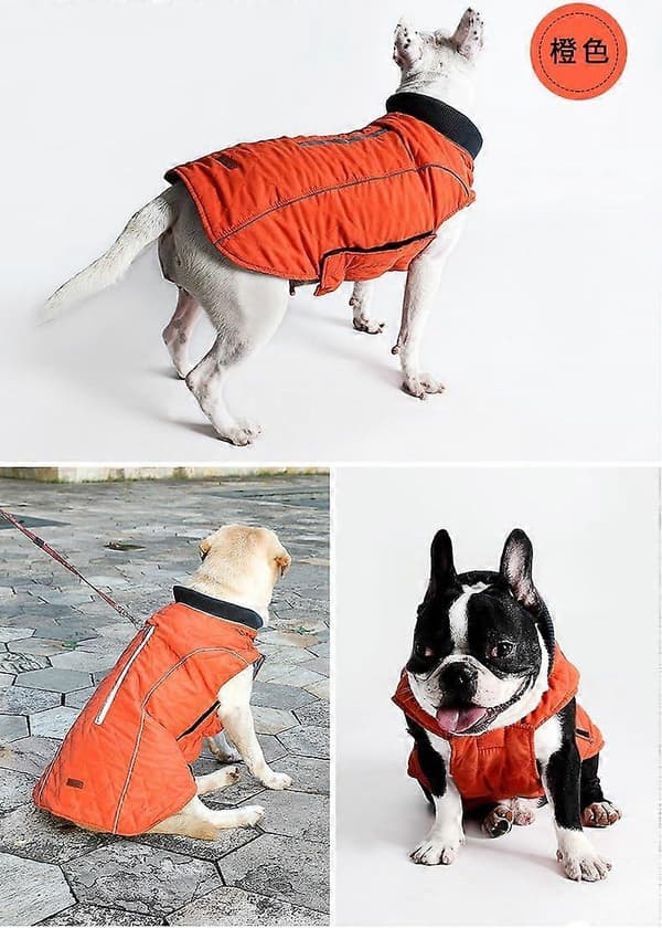 1 st Vinterhundjacka Varm Väst med Reflexränder och Hål för Sele Koppel Kläder