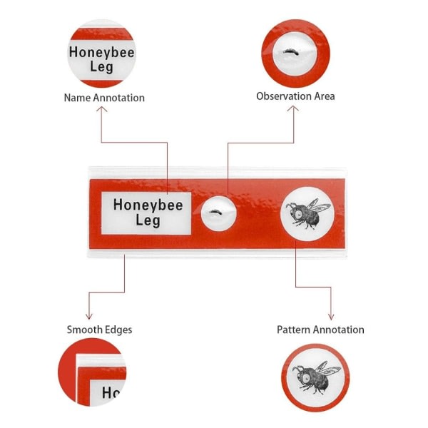 Mikroskopobjektglass Forberedte objektglass Red