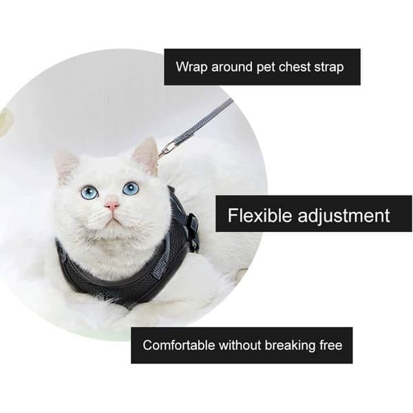 Kattsele, kattsele, kattselekoppel, kattselekoppel, kattsele med koppel och reflexväst (S)