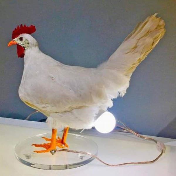 Led Egg Lampe Resin Kylling Egg Lampe Bordlampe Lys 3d Høne Legger Egg A~