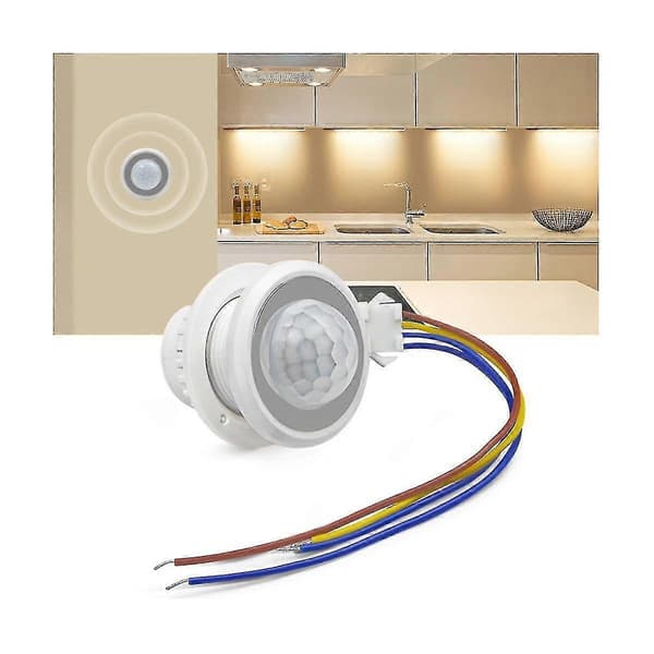 2 st Rörelsesensor Ljusbrytare 110-220v Pir Sensor Smart Detektion Tidsfördröjning Justerbar Infraröd
