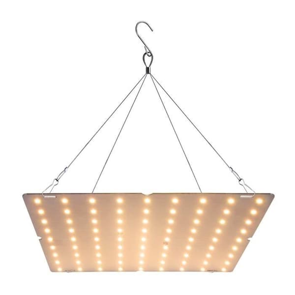 Horticultural Lighting - MOMOTOU - 81 LED'er - Fuld Spektrum - 1600 lm - 4000K