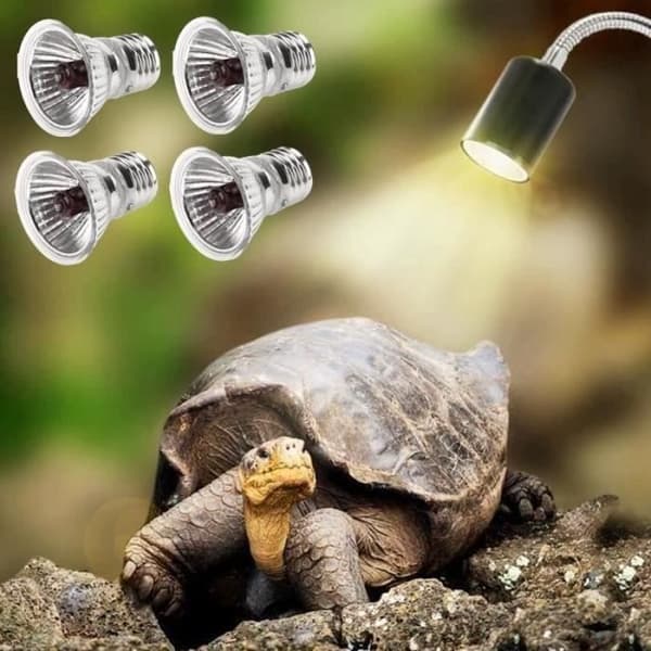 Reptil Lampe - Uspecificeret - Skildpadde - 25W - UVA UVB - 360° Rotation