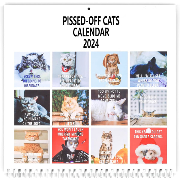 2024 Pissed-Off Cats Kalender Rolig Katt Väggkalender Katter Väggkalender 2024 Söta Månadskalendrar Kreativ Söta Kalender Katt Hängande Kalender för