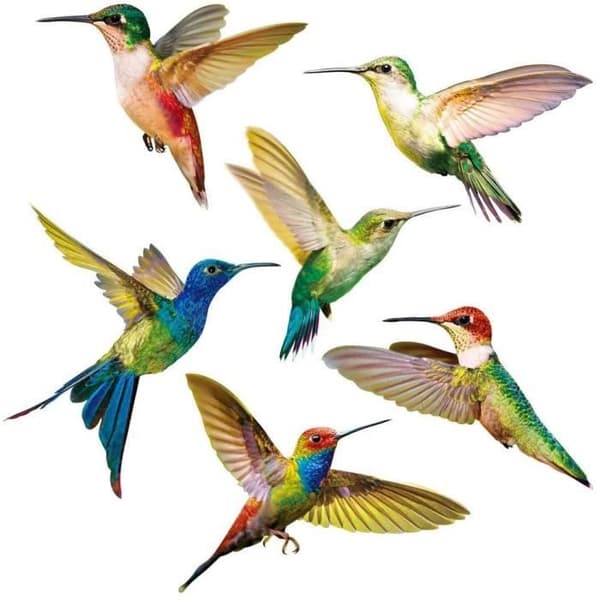 Antikollisjonsklistremerker - Kolibri - 6 stk - PVC - Veggdekorasjon - Samtids