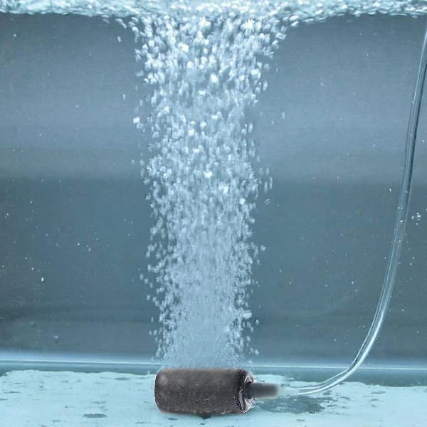 10-pack Luftsten Bubbel Cylinder Aerator Luftpump Tillbehör Syrediffusor