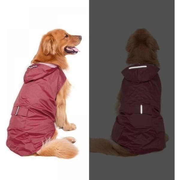 Vanntett hundejakke, ultralett og pustende fôr, hundejakke, refleksstriper
