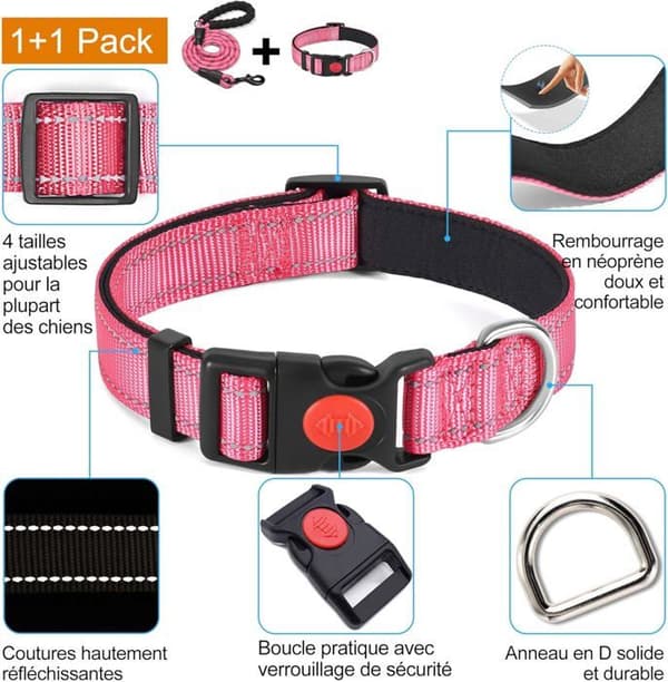 Reflekterende hundehalsbånd, polstret i blødt og åndbart neopren, justerbart i nylon (M, 30-40cm)