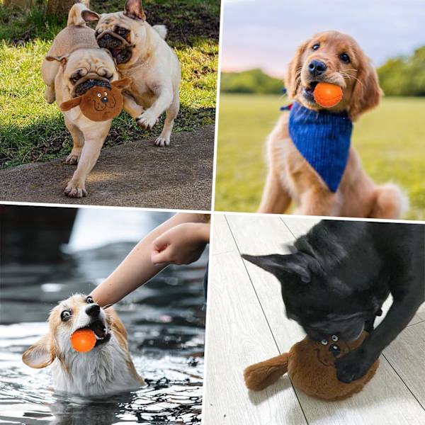 Namsan Hundeplysj Legetøj med Hund Squeaky Bold Interaktiv Hvalp Legetøj til Kedsomhed Blødt Holdbart Kæledyr Legetøj til Små/Mellem Hunde
