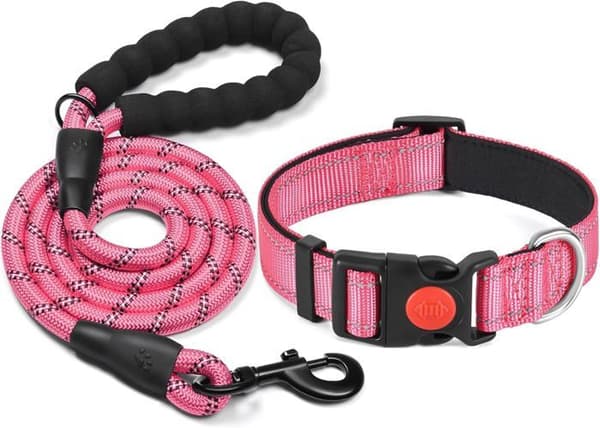 Reflekterende hundehalsbånd, polstret i blødt og åndbart neopren, justerbart i nylon (M, 30-40cm)