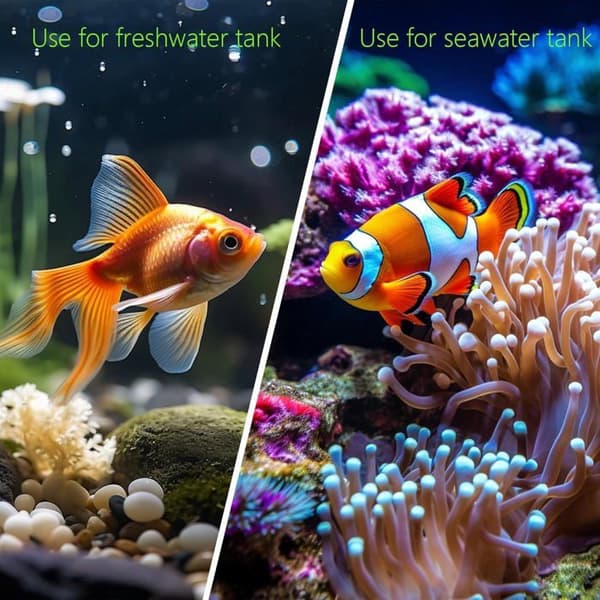 Sikker keramisk akvariegjemmested - Giftfri ornament for avl/hvile - Dekor for kampfisk