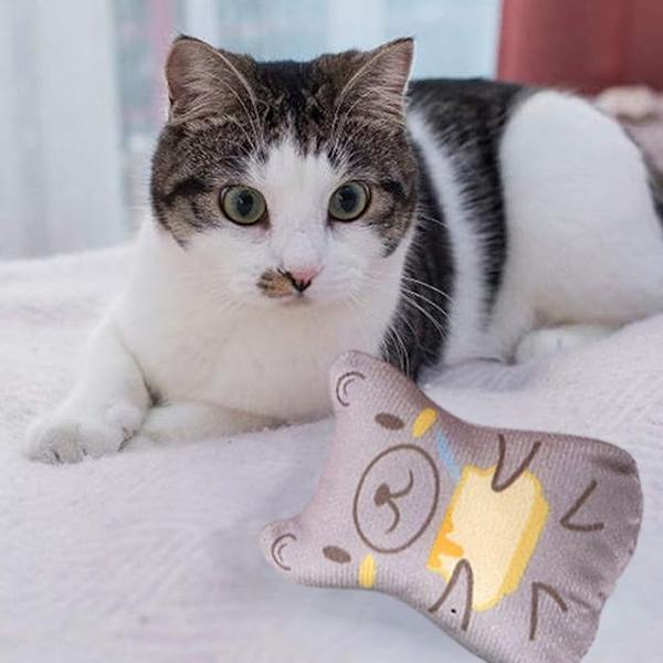 Kattmynta Leksaker För Innekatter - Plysch Kattleksaker Interaktiv Gräs Fylld Tandleksak