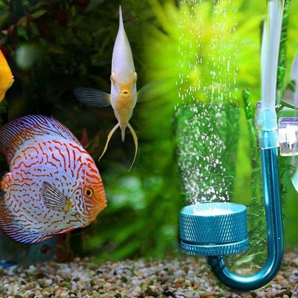 Koldioxid Diffuser Atomizer Koldioxid Diffuser Akvarium Sugkopp Akvarium Bubblor Co2 Diffuser Regulator Atomiserar