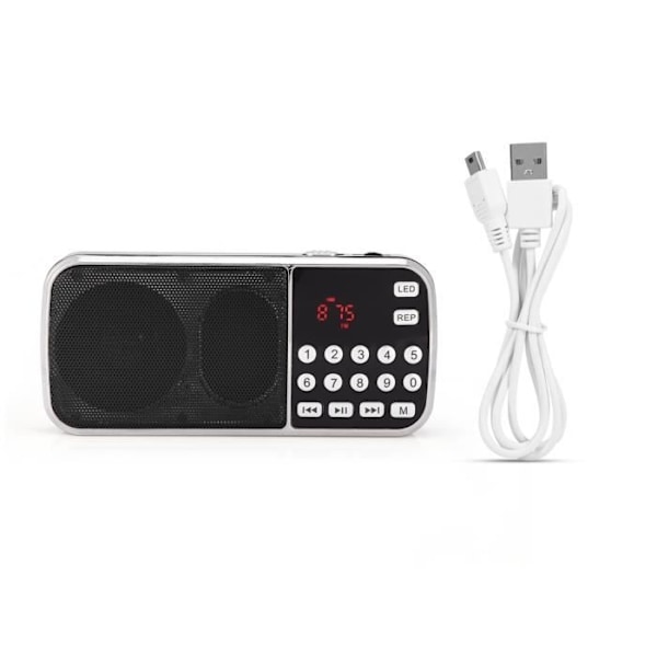 FM-radio, bärbar digital musikspelare, LED-högtalare, ficklampa med stöd för FM-radio TF-kort USB Aux-Duo Black