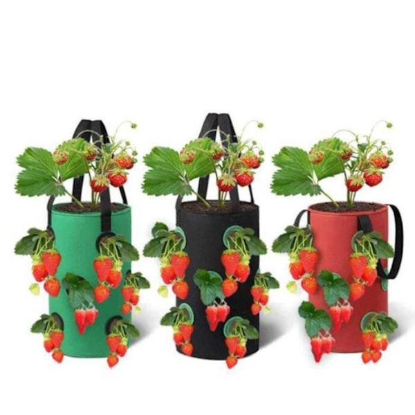 We14697 - Jordgubbsodlingskruka. 3 Gal. 12 Hål. För Växter. Blommor. Tomater. Trädgård. Hängande Vägg. Rotplantering
