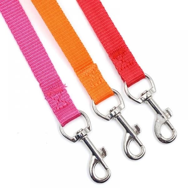 Koppel för husdjur - Orange - 12M (40Ft) X 2Cm