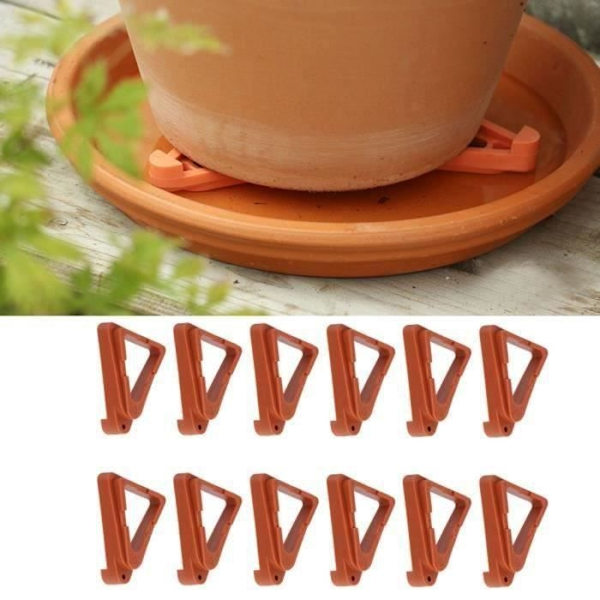Blomkrukfötter - Brun - Triangulär - Pp - 12 Stycken Brown