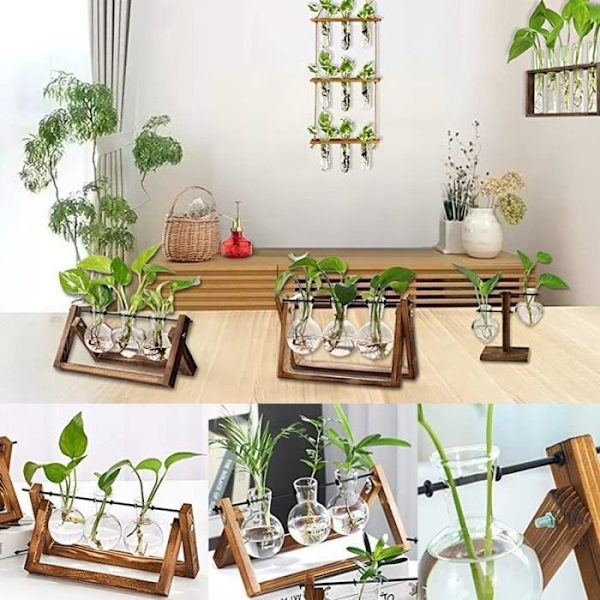 Vas, B-3--Terrarium i glas och trä, planteringskruka för bonsai, blomkruka, hydroponiska växter för skrivbord, hängande med bricka,