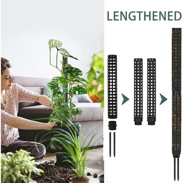 Klätterväxtstöd, kokosfiberstöd, sphagnummossastöd, Monstera växtstöd växtstöd