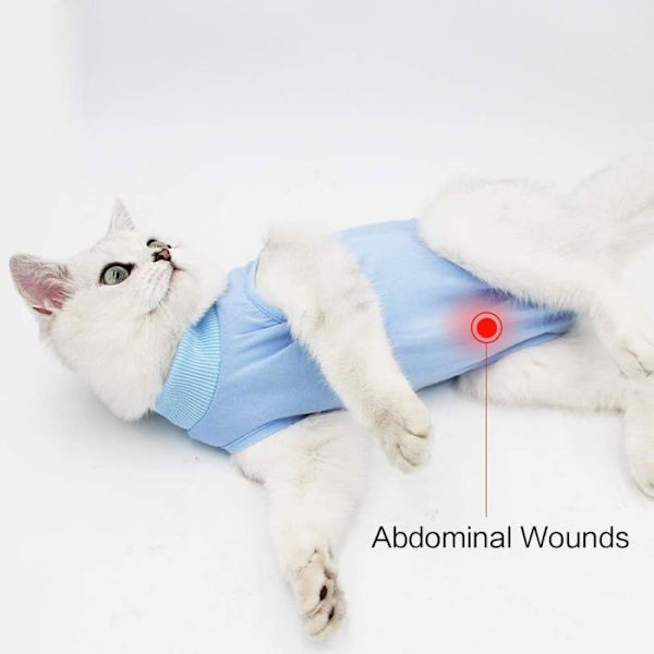 Kattdräkt Efter Operation Anti-slick Kläder (M, Blå)