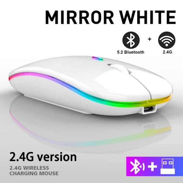 Mus, trådlös Bluetooth-gamingmus, RGB LED-bakgrundsbelysning, ergonomisk, laptop, PC-mus - Vit mus[B]