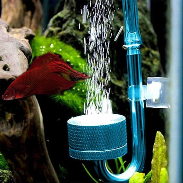 Koldioxid Diffuser Atomizer Koldioxid Diffuser Akvarium Sugkopp Akvarium Bubblor Co2 Diffuser Regulator Atomiserar