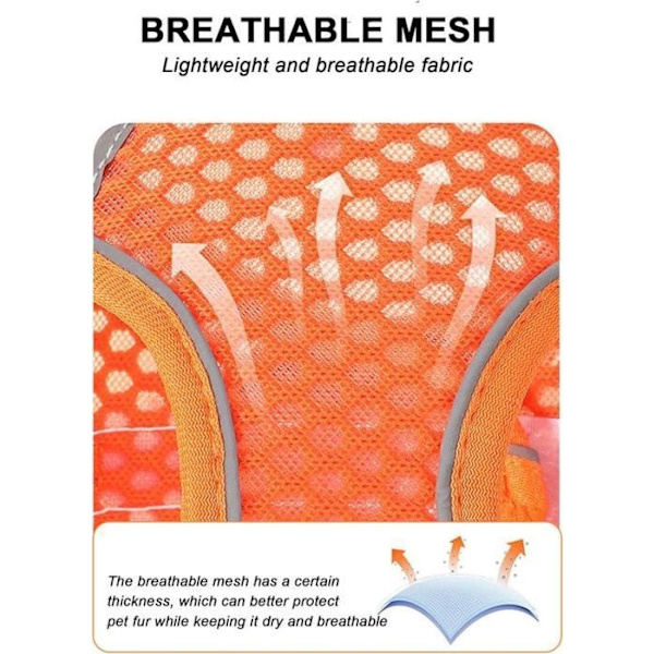 Orange Mjukt Mesh Hundsele Och Koppelsats S, Easy Walk Rymningssäker Valpsele (Orange, S)