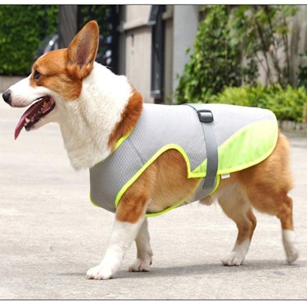 Kylväst för hund, Kylväst för husdjur, Hundkläder L