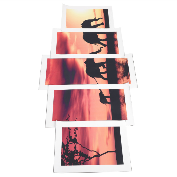 5 stk Rammeløse maleri elefanter i solnedgang Veggkunst Dyrekunst Landskapsbilder (2 stk 20x30 2 stk 20x40 1 stk 20x50 )