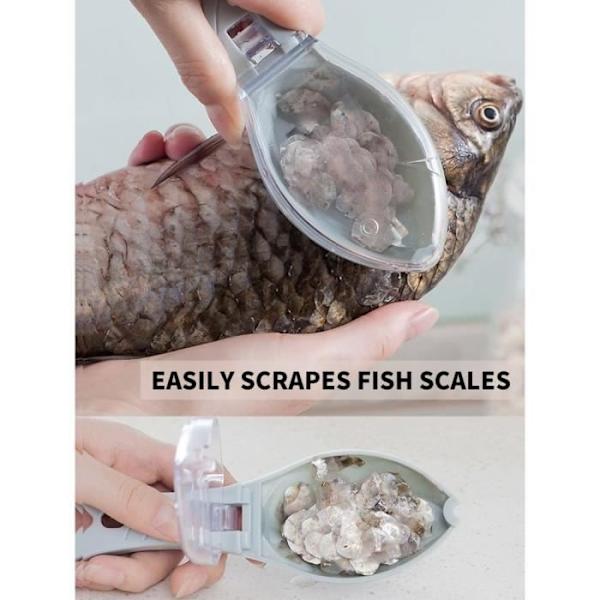 2-pack Fiskskrapa Professionell Fiskskalare Köksredskap Med Blått Skydd