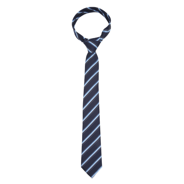 Menns slips Stripe Design Klassisk utsøkt stil hals slips gave til møter Business Konferanser Party Office