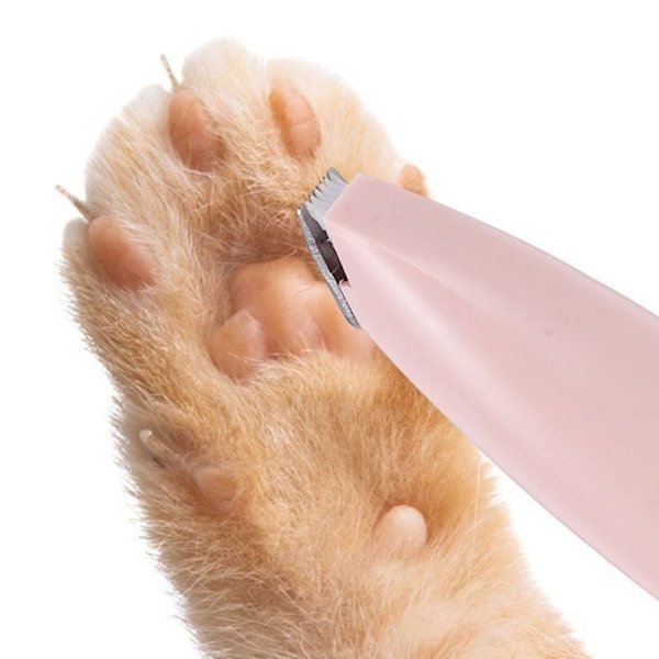 Hundtass Klippare Sax Katt Klippare Hundtrimmer Klippmaskiner Djurhår Klippare, Klippare