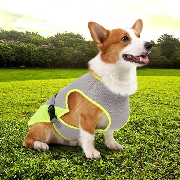 Kylväst för hund, Kylväst för husdjur, Hundkläder L