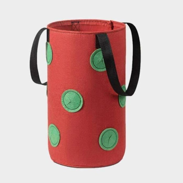 We14697 - Jordgubbsodlingskruka. 3 Gal. 12 Hål. För Växter. Blommor. Tomater. Trädgård. Hängande Vägg. Rotplantering