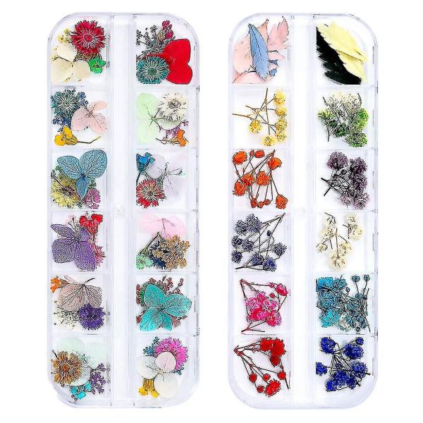 Dried Flowers For Resin Nail Art 3d Dry Flowers For Nails 2 Boxes Small Tiny Dried Flower