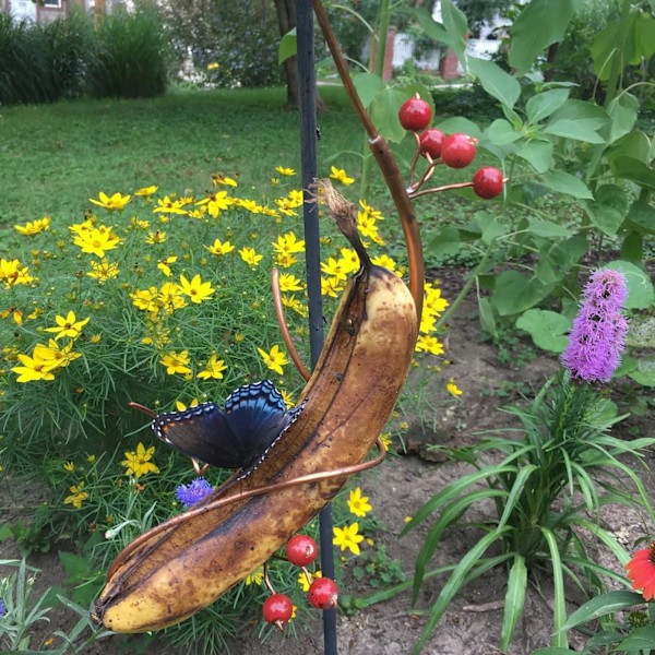 Sommerfugle Banan Hængekøje, Robust Bananholder, Mini Hængende Sommerfugle Banan Feeder, Ideel til at Tiltrække Insekter Sommerfugle