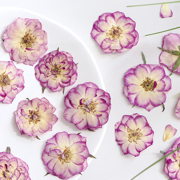 Store lilla tørrede pressede blomster til harpiks, store ægte naturpressede blomsterblade til DIY-håndværk, lys- og scrapbogsmaterialer