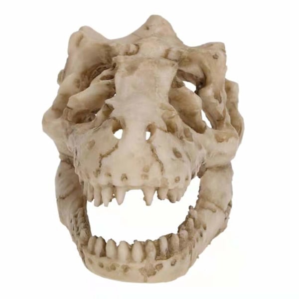 Akvariedekoration Lille Resin Dinosaur Skull Skelet Fisketank Akvarium Akvariegrotte Kæledyr Krybdyr Hus Dekoration