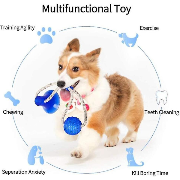 Husdjurs tuggleksak med sugkopp, multifunktionell tuggleksak och sugkopp, husdjurs tuggleksak, multifunktionell tuggleksak för hundar, hundsugkopp (blå)