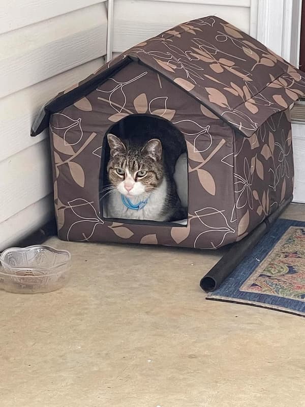 Cat House - Winter-Proof Outdoor Use - Foldable Pet House